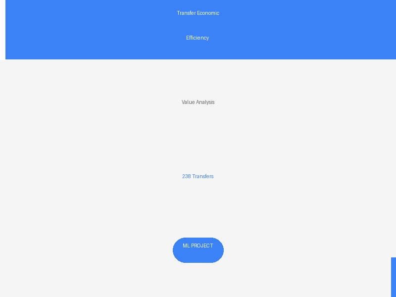 Transfer Economic Efficiency